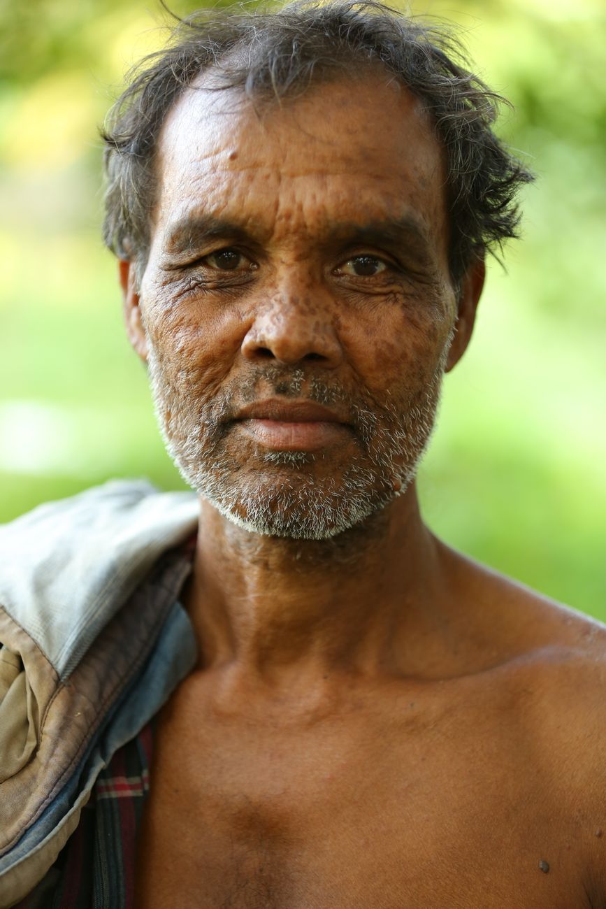 Author avatar